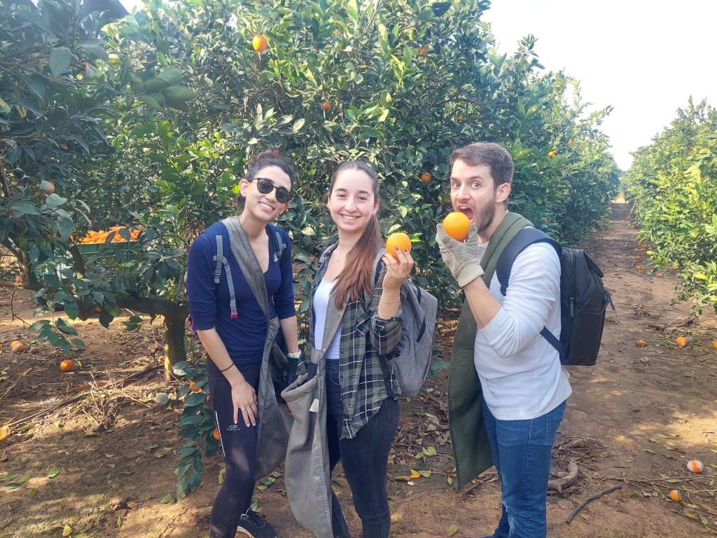 יום התנדבות